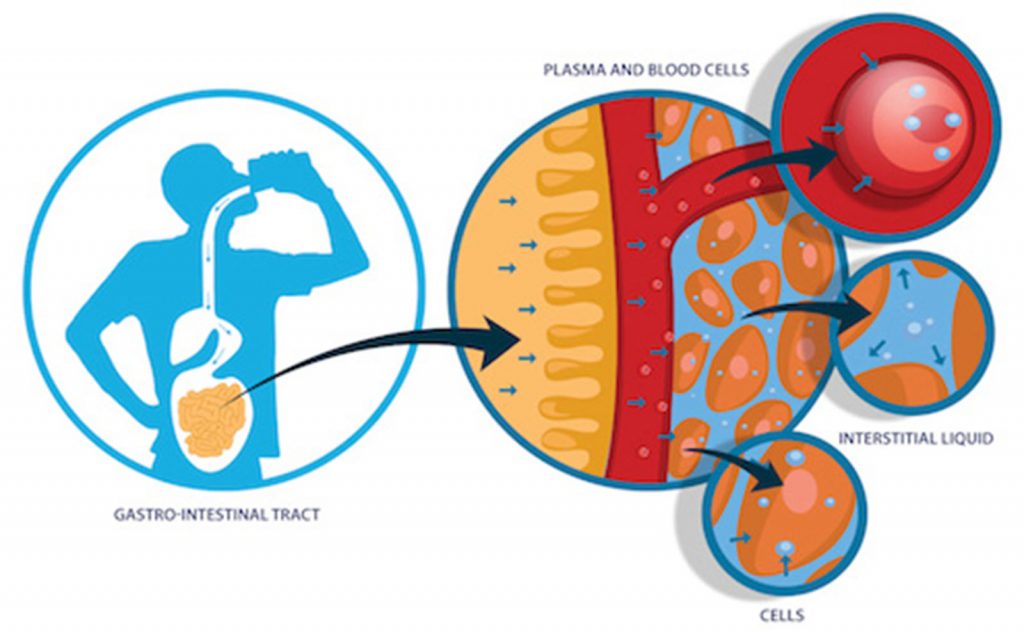 How Deuterium Hurts Us H2 for You